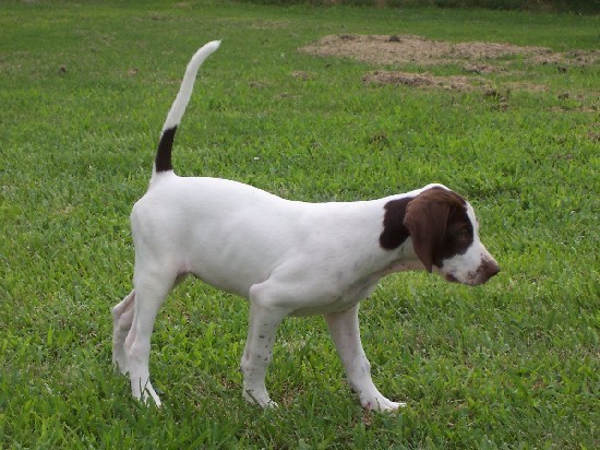 ERIN'S BAD RIVER & SUNSHINE