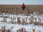 Hunting Season Pictures